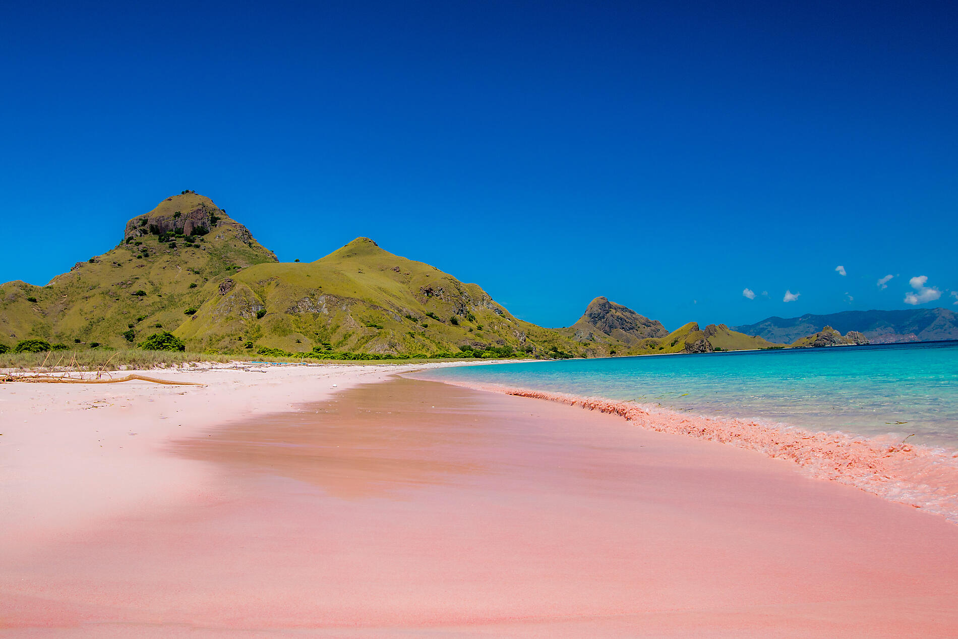 AdobeStock_64327804_Pink beach_Indonesia.jpg