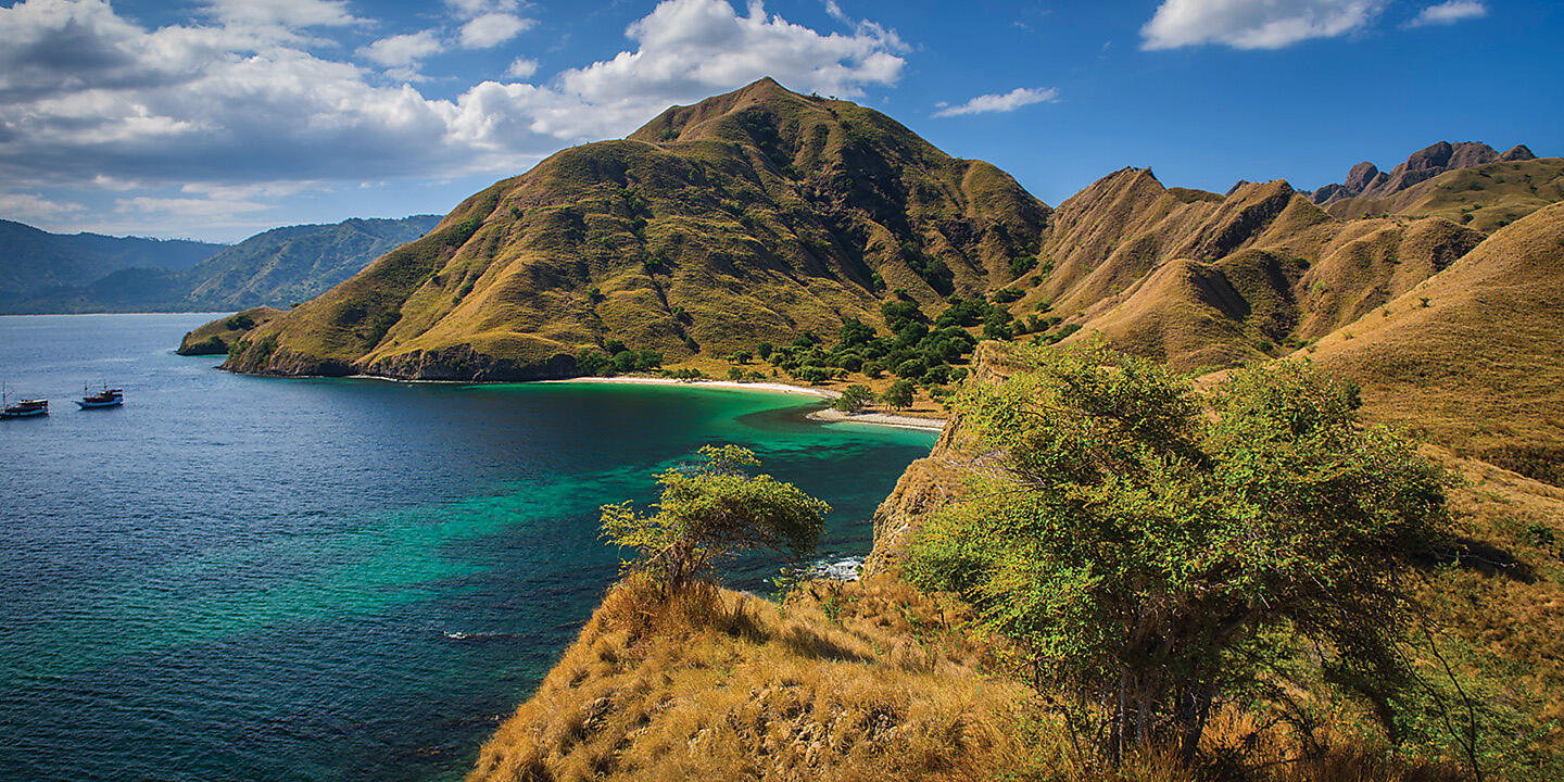 Tropical Odyssey between North East Australia and Indonesia