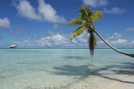 17 Oct 26 - Fakarava, Tuamotu Islands