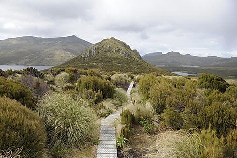 8 Jan 26 - Campbell Island