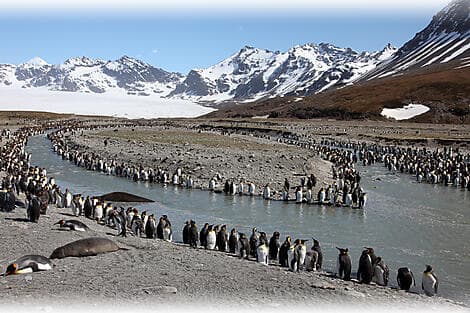 10 Dec 26 > 12 Dec 26 - South Georgia