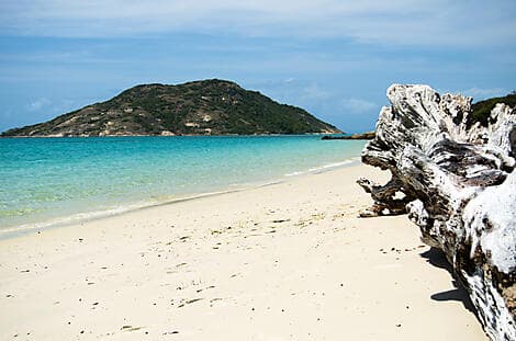 19 Dec 25 - Lizard Island