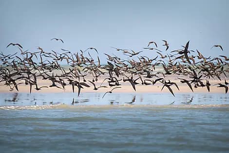 8 Sept 26 - Lacepede Islands
