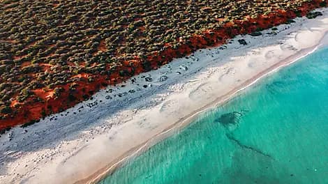 11 Aug 26 - Shark Bay World Heritage Area