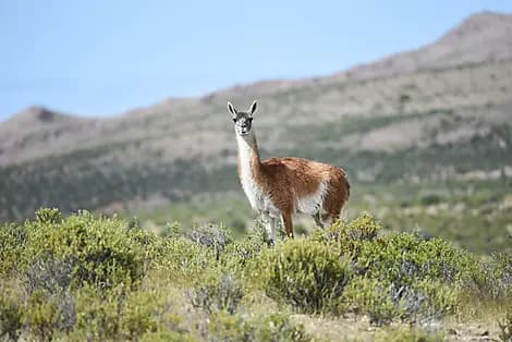 20 Mar 26 - Puerto Madryn