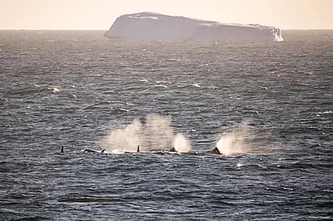 25 Jan 26 - Amundsen Sea
