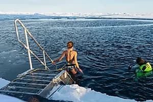 Polar plunge