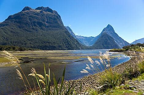 1 Jan 26 - Milford Sound