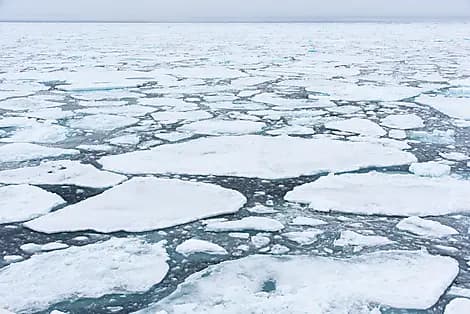 24 Sept 27 - Sailing ice floes along Greenland