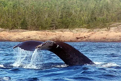 24 Sept 27 - Rigolet