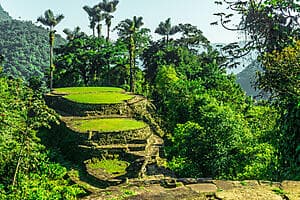 The Tayronaka ruins