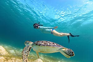Snorkelling Rangiroa's aquarium