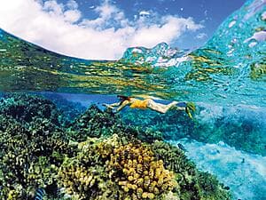 Fakarava pinnacle snorkel