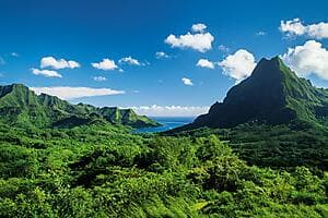 Capture Moorea – Photo adventure
