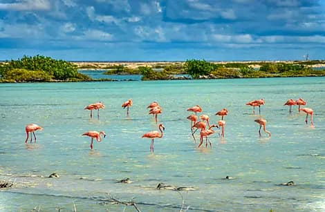 13 Dec 25 - Bonaire