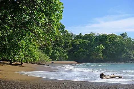 10 Dec 26 - Drake Bay