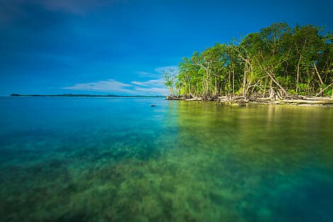 15 Jan 26 - Mentawai Islands, Sumatra