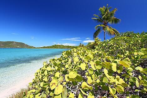 17 Mar 27 - Beef Island