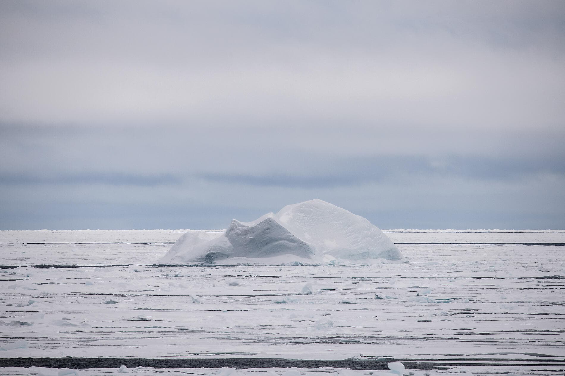 Transarctic, the Quest for the Two North Poles 