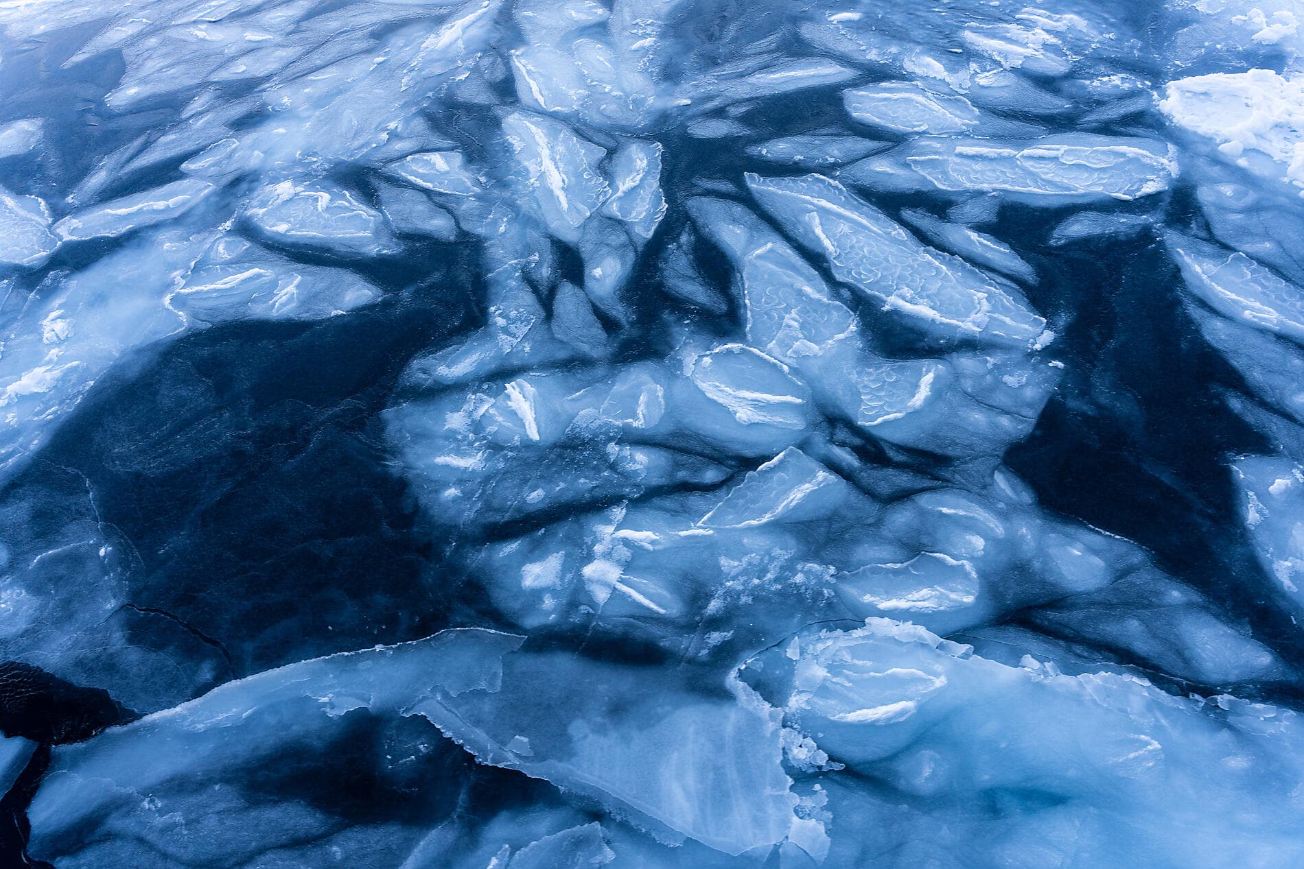 Transarctic, the Quest for the Two North Poles 