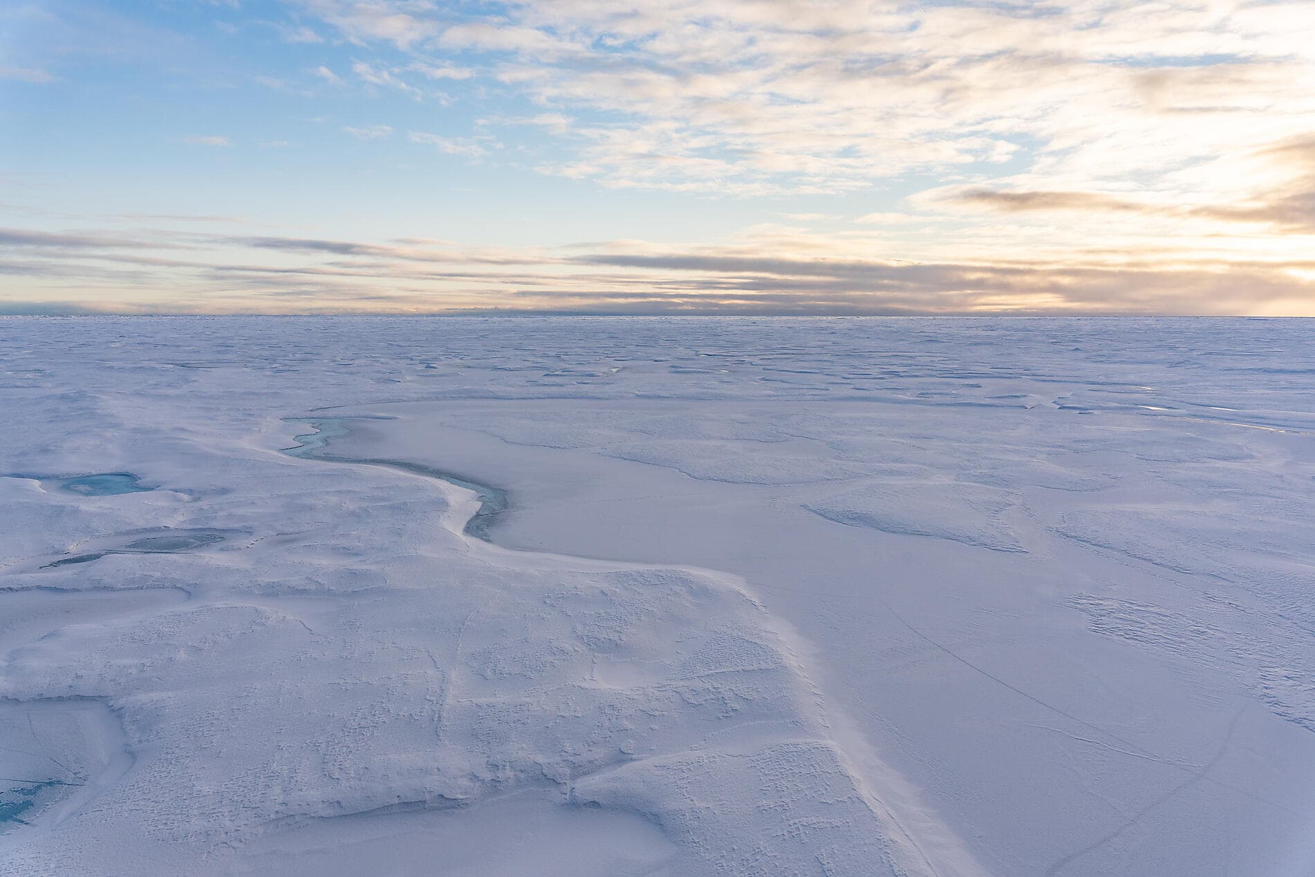 Transarctic, the Quest for the Two North Poles 