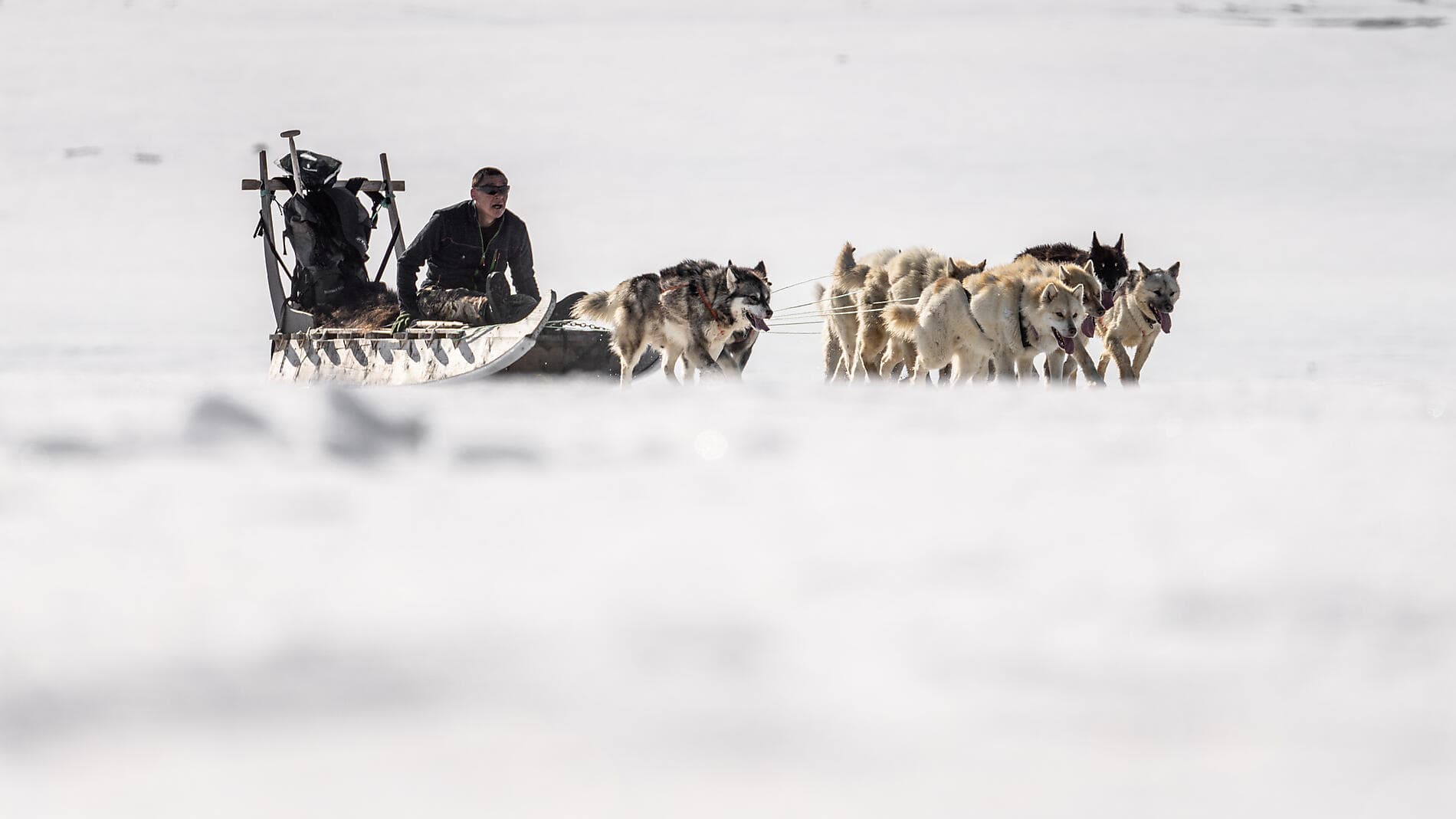 Arctic Spring: A Journey Through Ice and Inuit Culture 