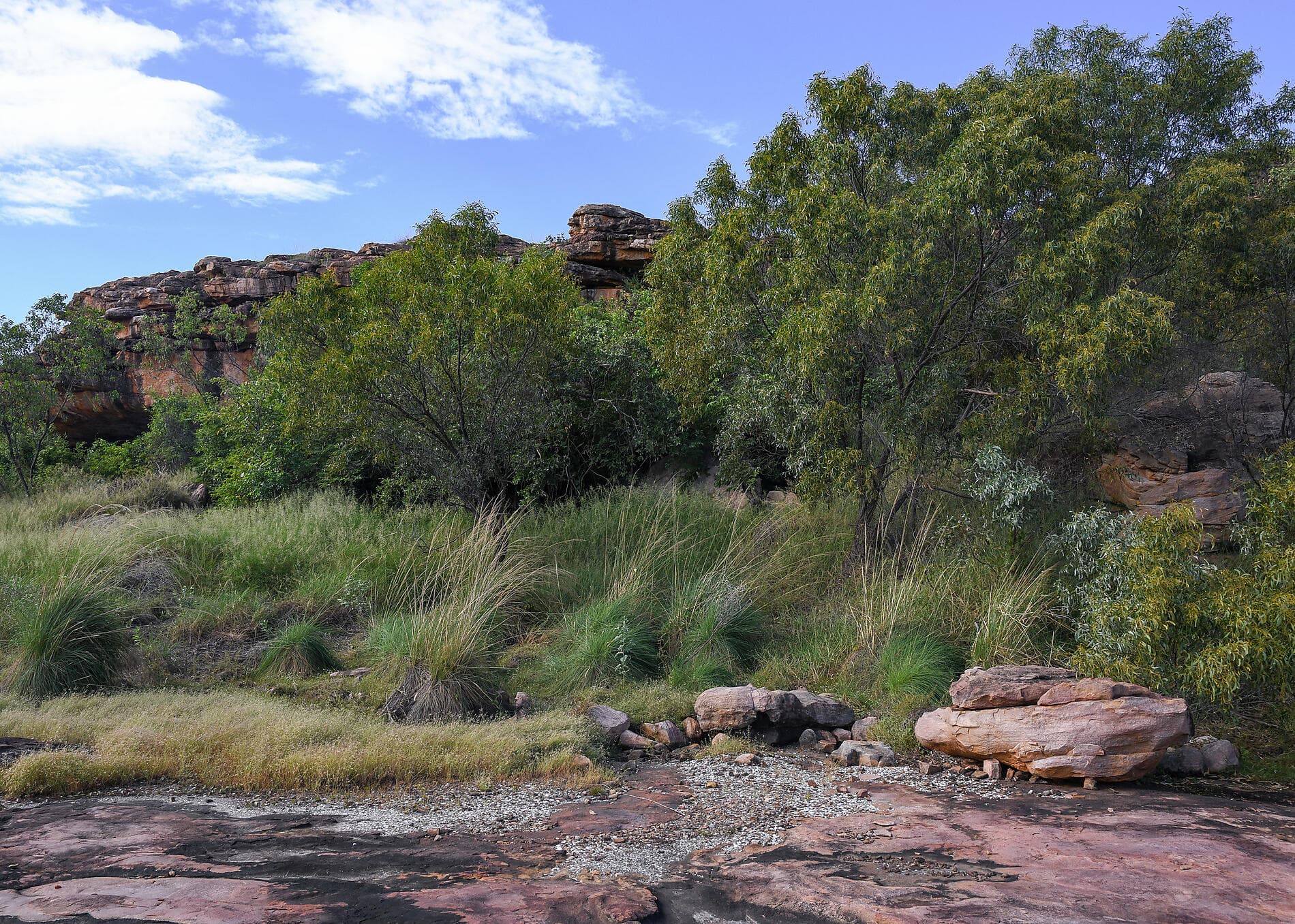 Australia's Iconic Kimberley 