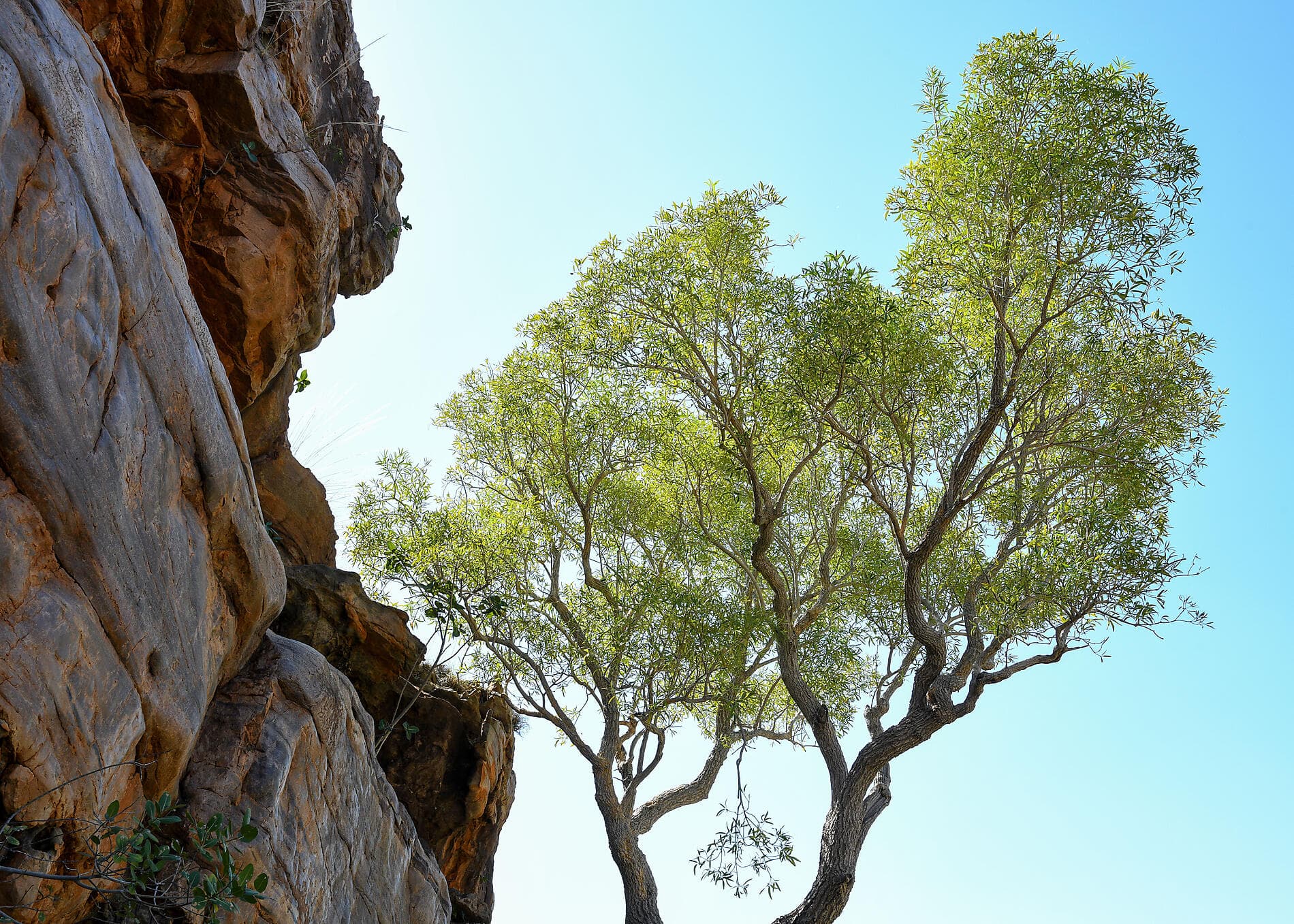 Australia's Iconic Kimberley 