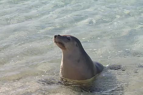 9 Aug 26 - Jurien Bay Marine Park