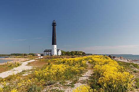 18 Jul 26 - Saaremaa