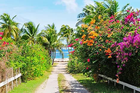 27 Jan 26 - Charlestown, Nevis