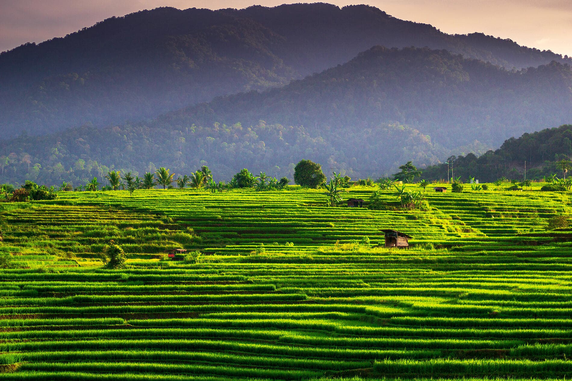 Islands, cities and volcanoes of Indonesia 