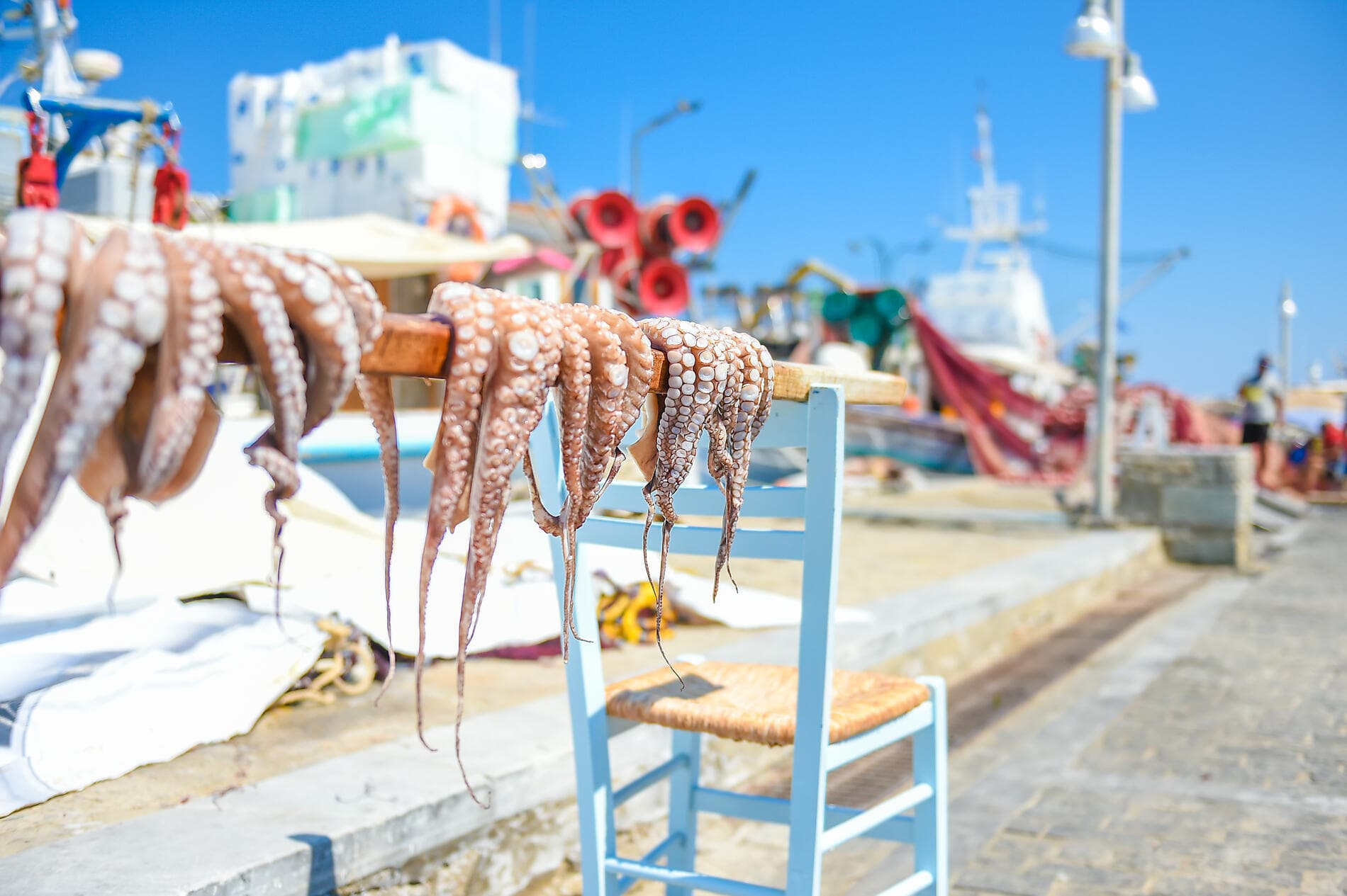 From the city of the gods to the Dalmatian coast 