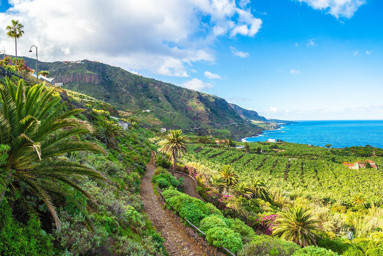 Atlantic Odyssey from the Canary Islands to the Iberian Peninsula  