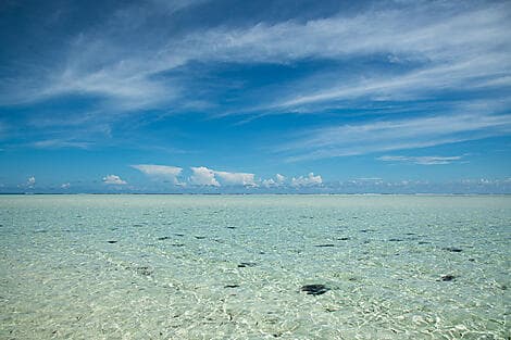 14 Jan 26 - Saint François Atoll