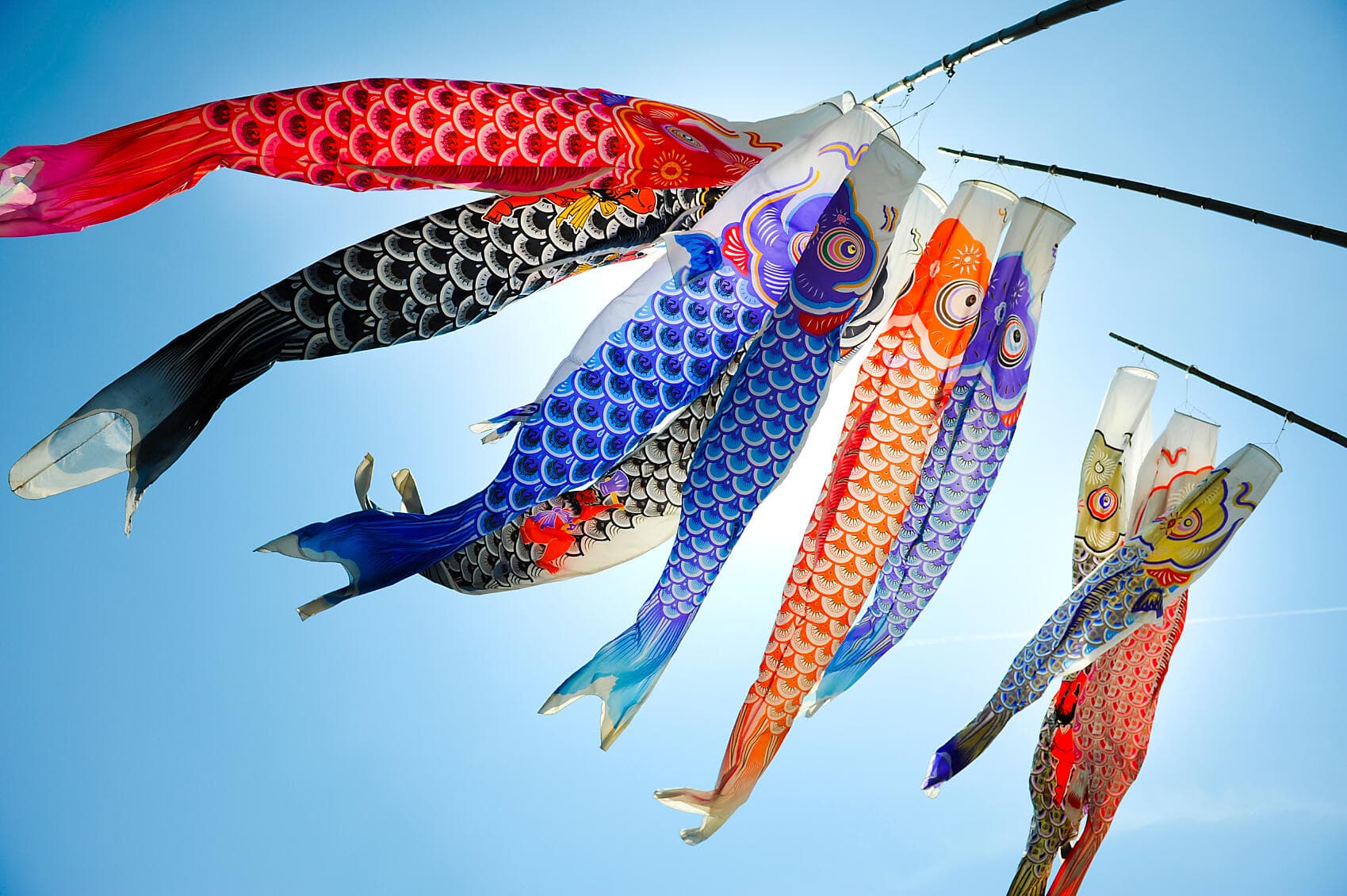 Island Wonders & the Soul of Ancestral Japan 