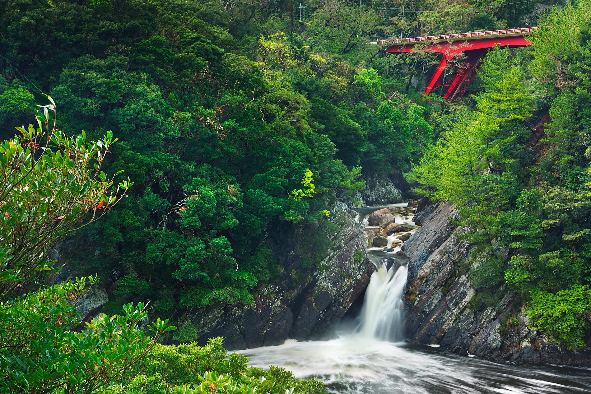 Island Wonders & the Soul of Ancestral Japan 