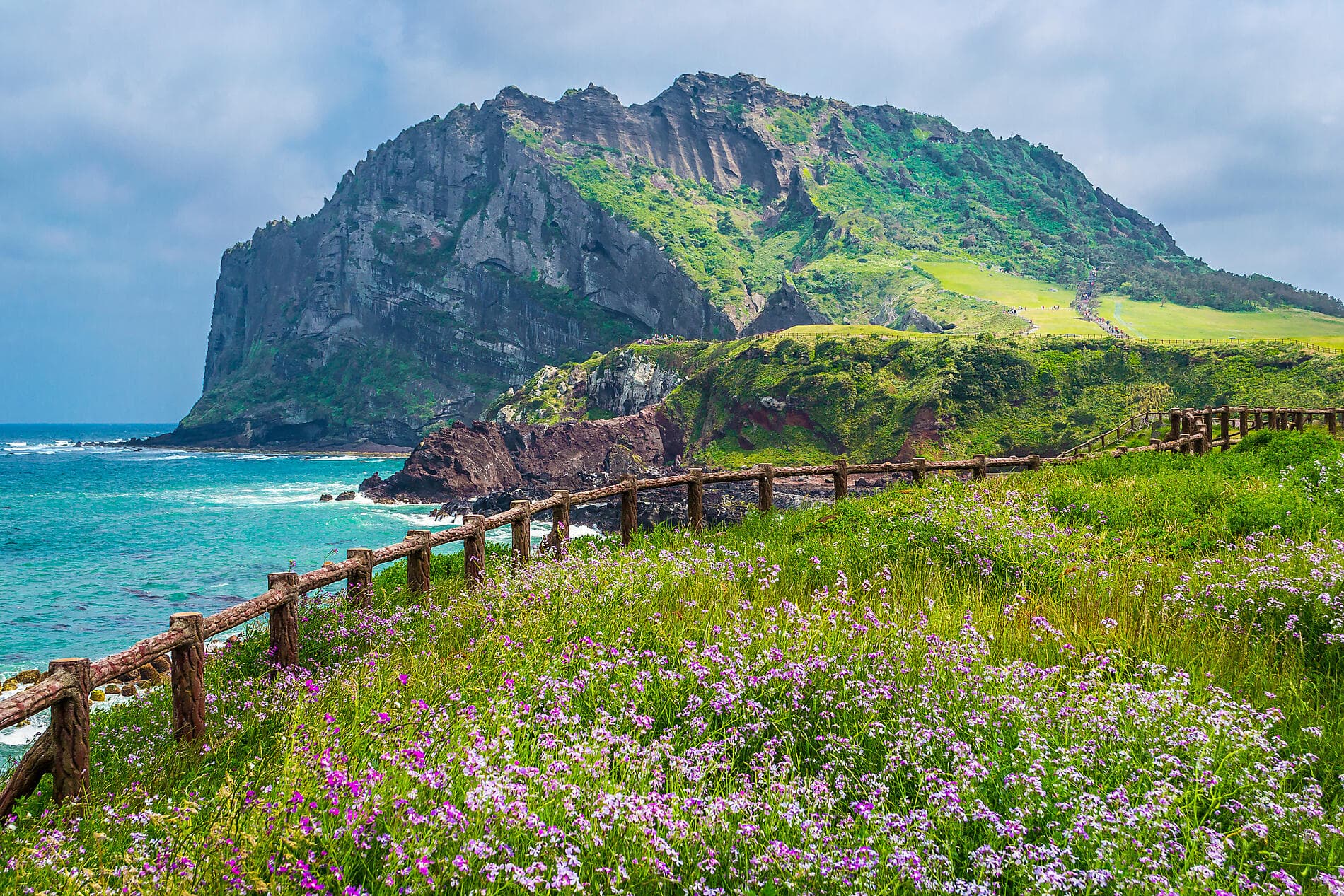 Island Wonders & the Soul of Ancestral Japan 