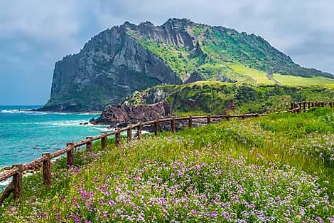 13 Mar 26 - Jeju