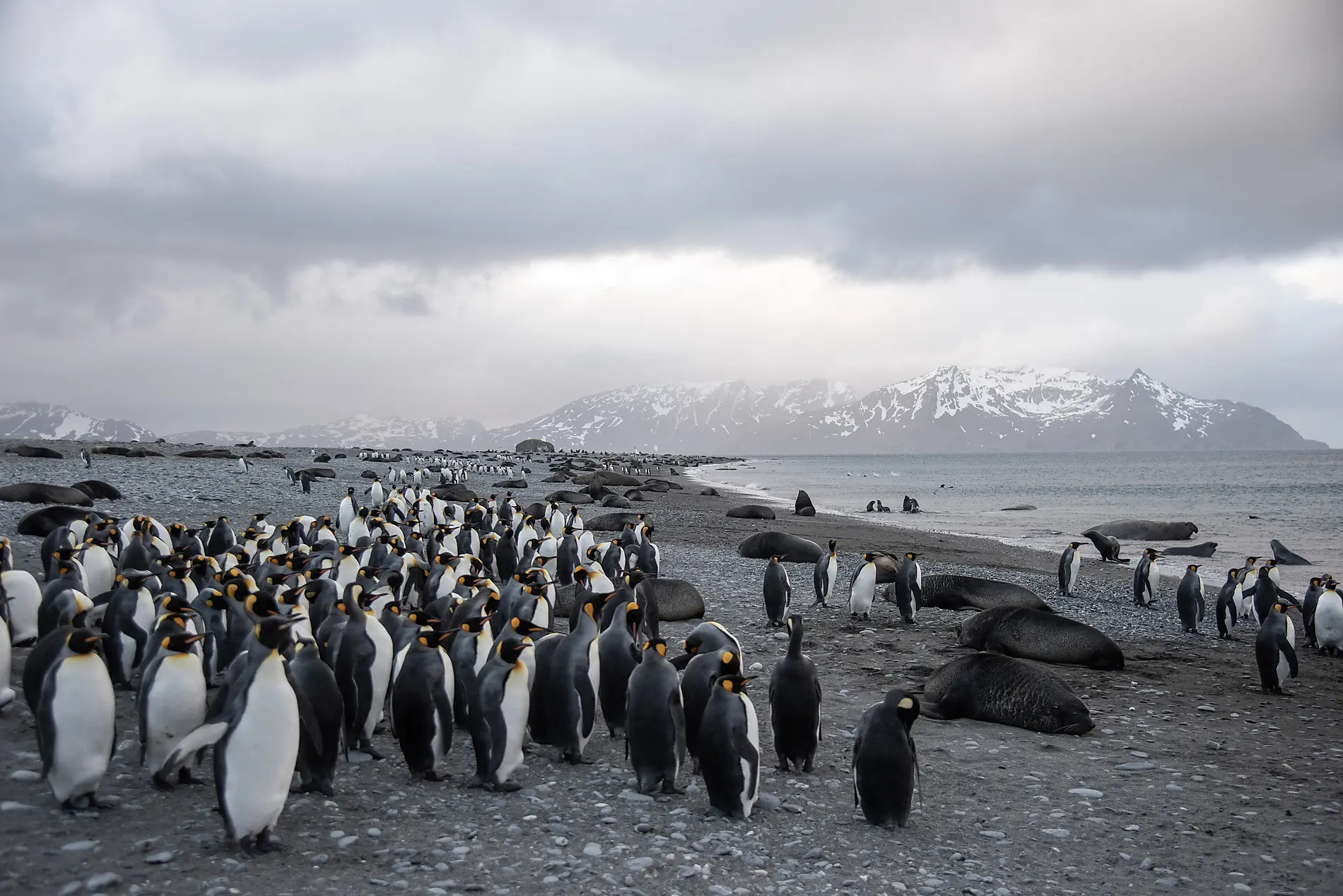 Journey to Austral Lands and Valdes Peninsula 