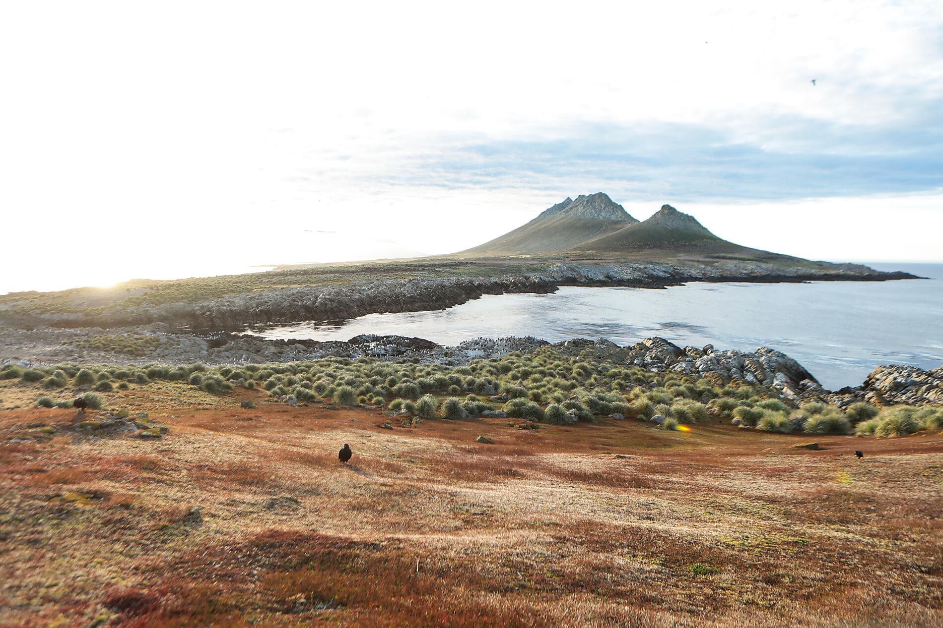 Journey to Austral Lands and Valdes Peninsula 