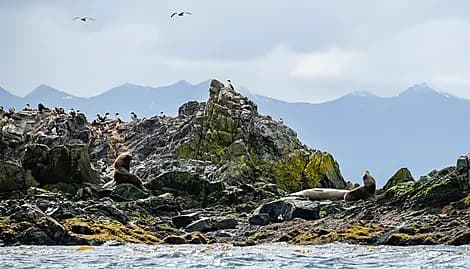 13 Nov 26 - Islas Tuckers