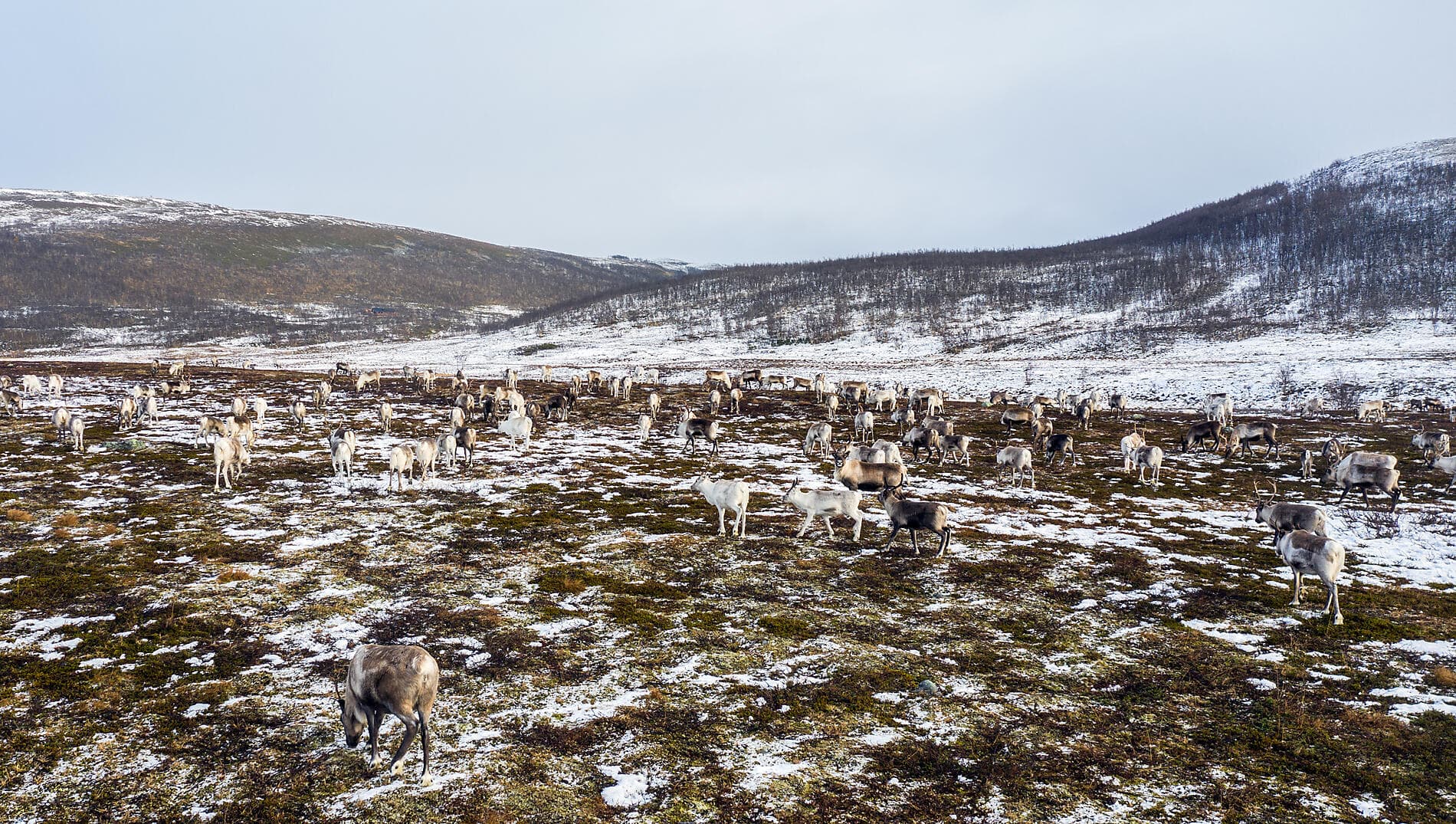 Polar Lights: From North Cape to the Lofoten Islands 
