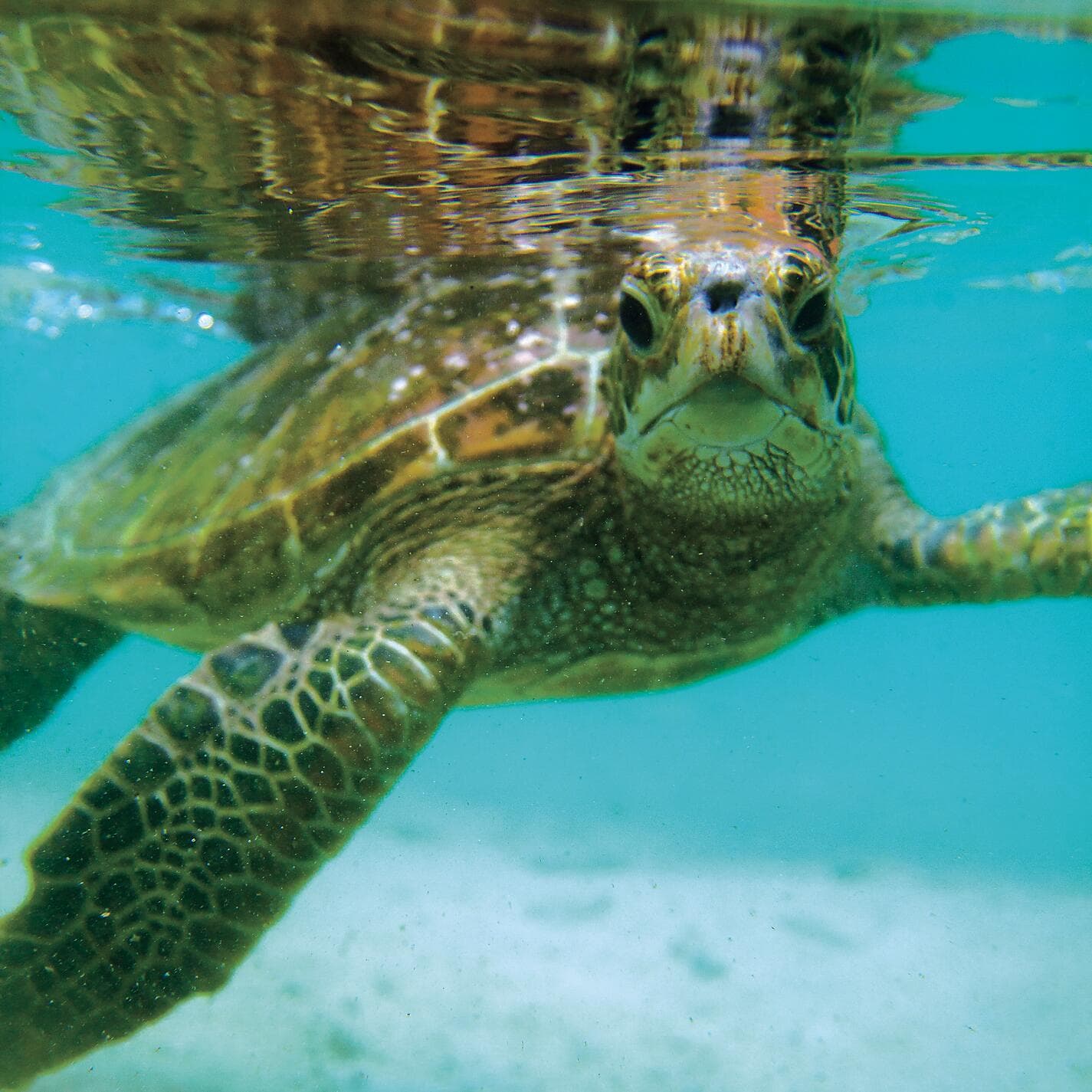 Tahiti & the Society Islands 