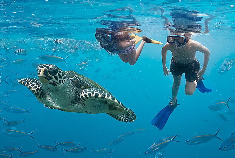 From Fiji to Bali 
