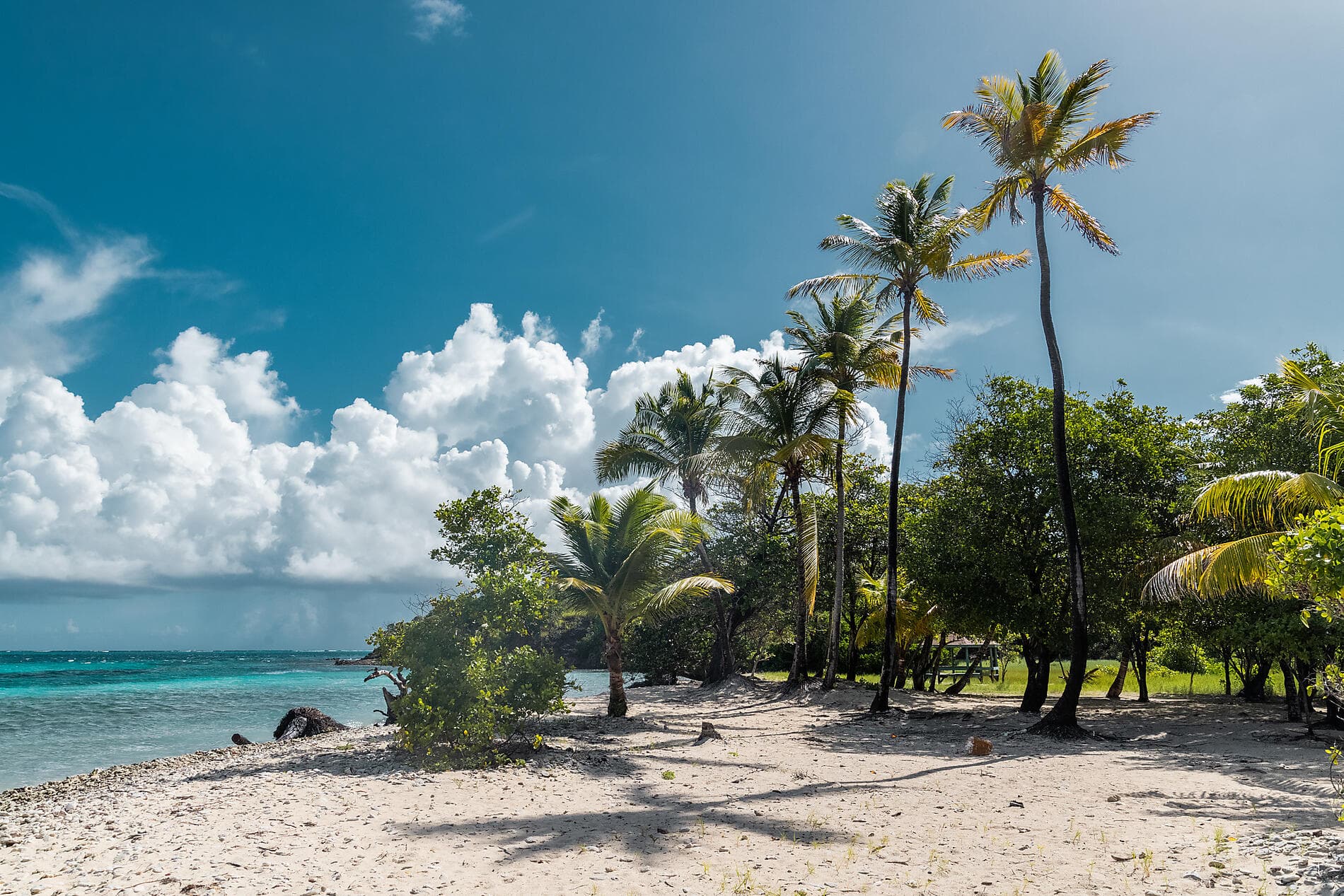 History and culture visiting Caribbean jewels 