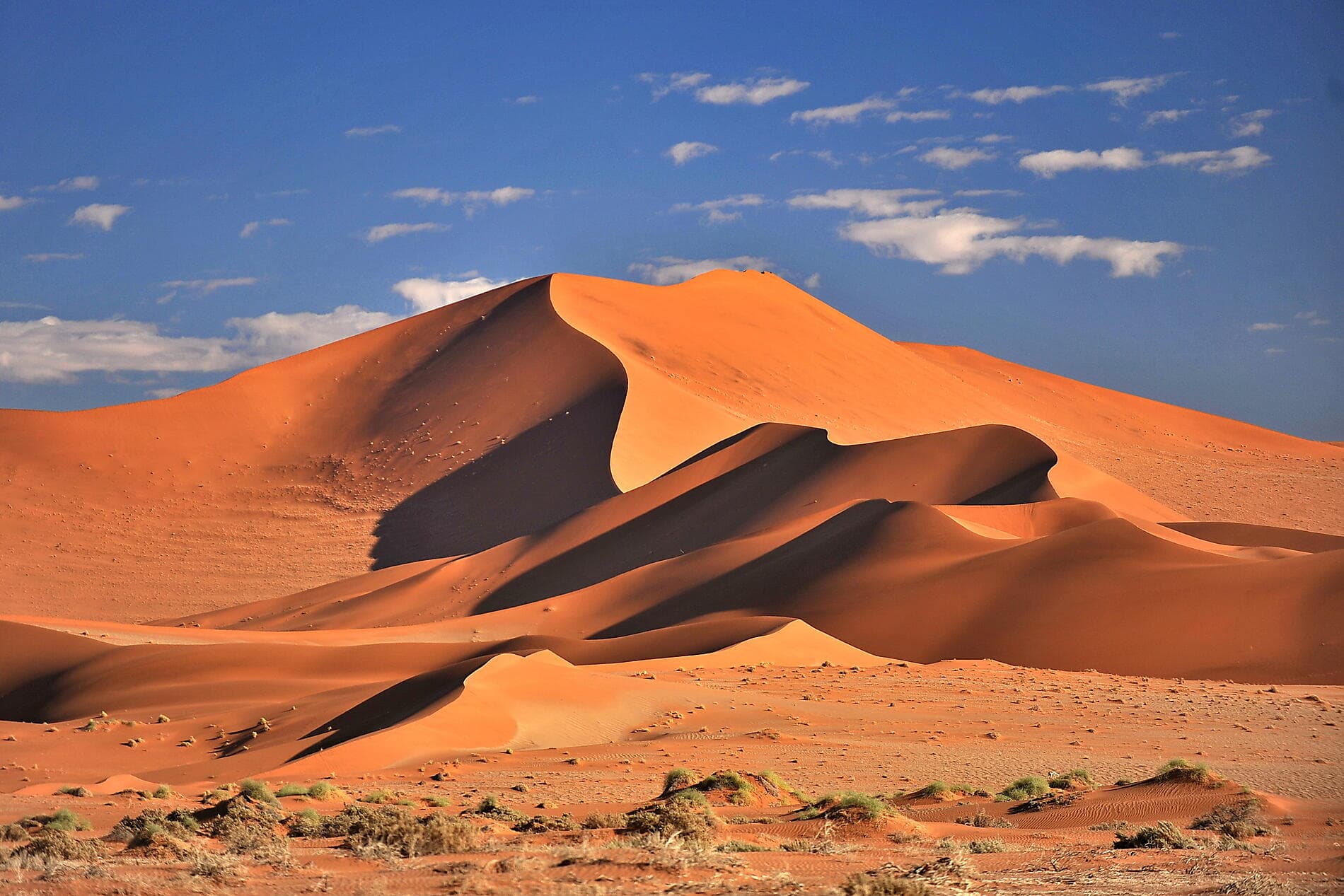 Namibian & South African Coastlines 