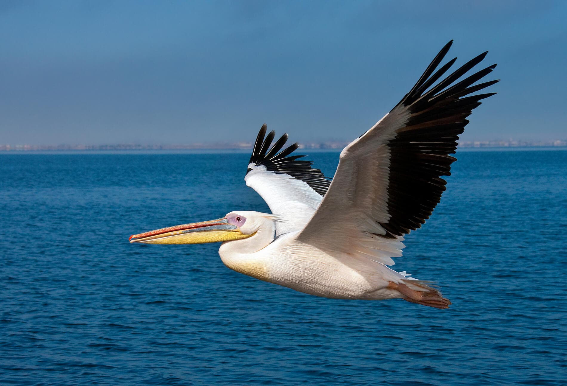 Namibian & South African Coastlines 