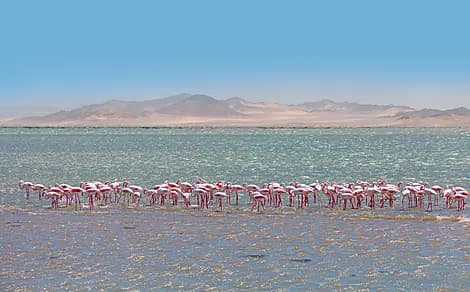 7 Dec 26 > 8 Dec 26 - Walvis Bay
