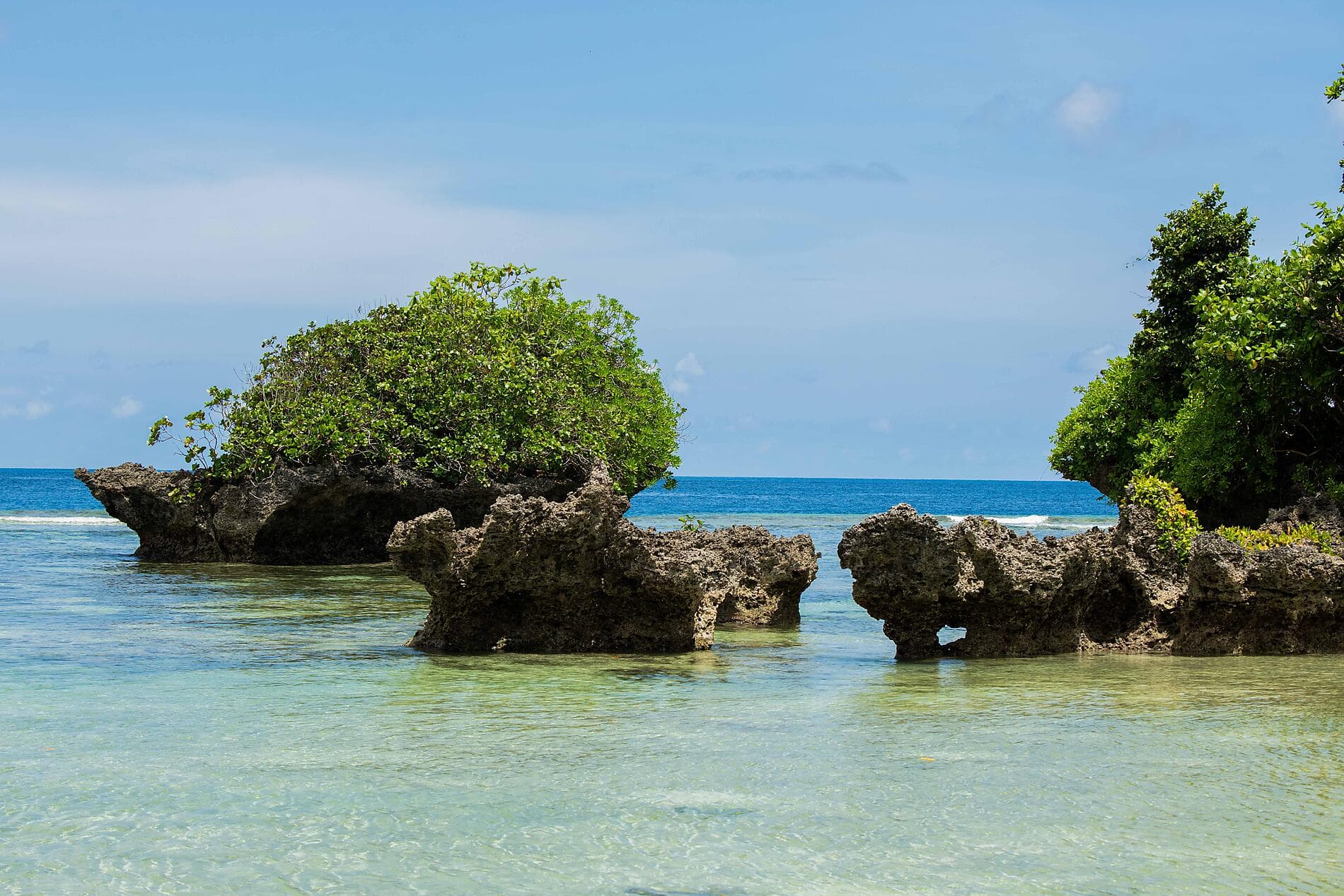 New Guinea Odyssey 